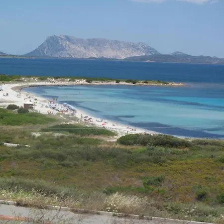 In * Orosei